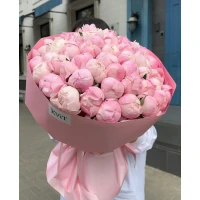 31 peonies