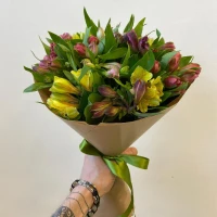 Beautiful Alstroemeria